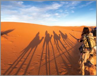 Tours from Fes